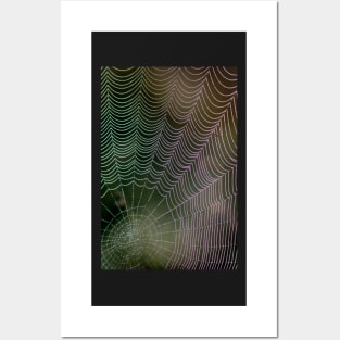 Colourful Spider Web with Dewdrops Posters and Art